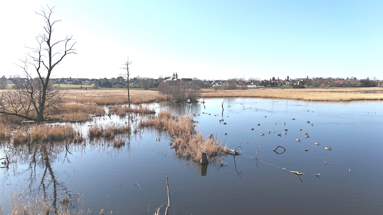 The Salzlandkreis district, situated east of the Harz in Saxon - Bild 3